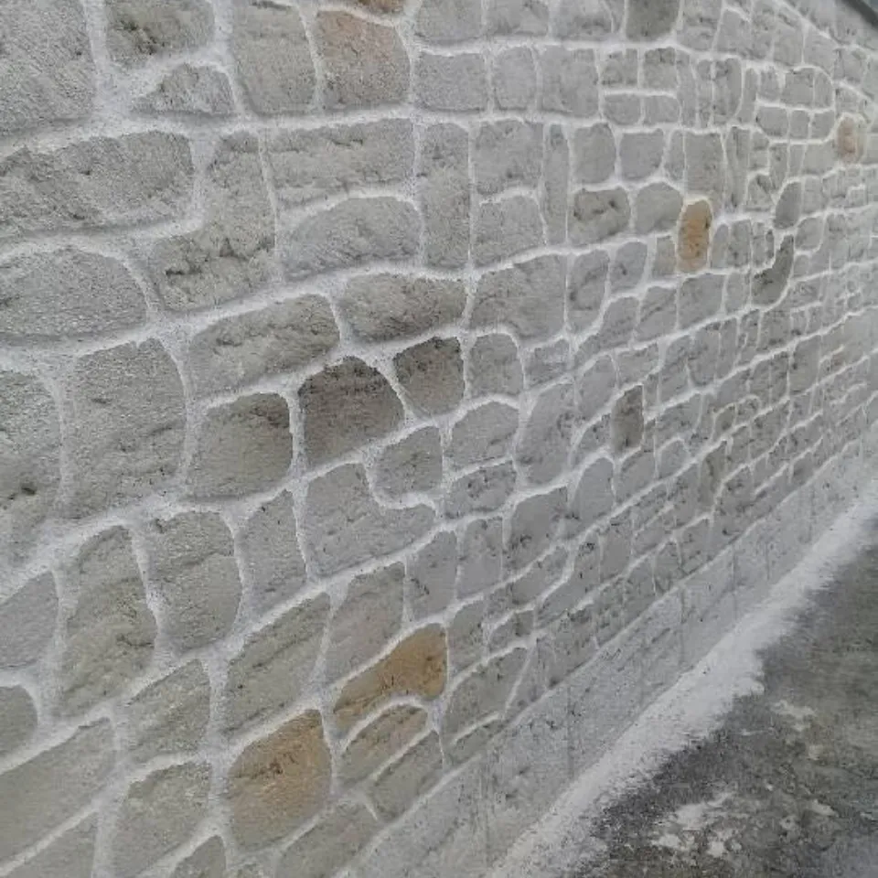 ravalement de facade le controis en sologne